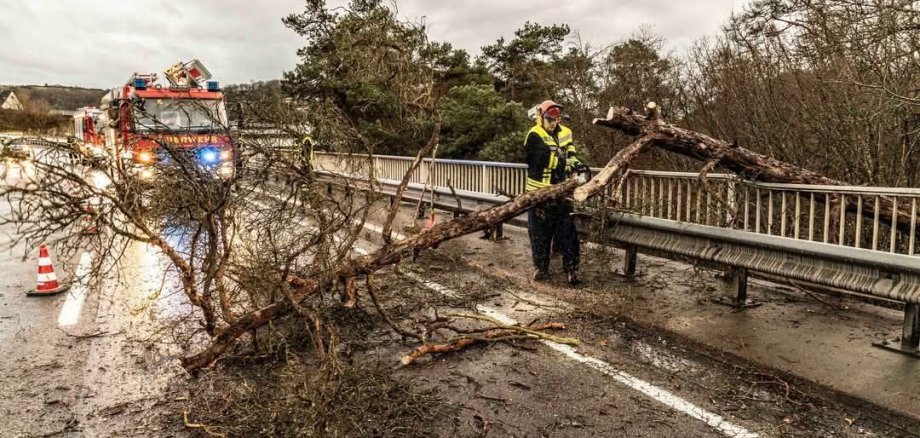 Umgestürzter Baum auf Fahrbahn 